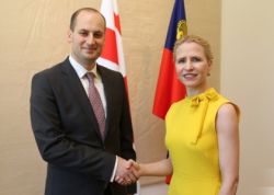 მიხეილ ჯანელიძემ ლიხტენშტაინში შეხვედრები გამართა