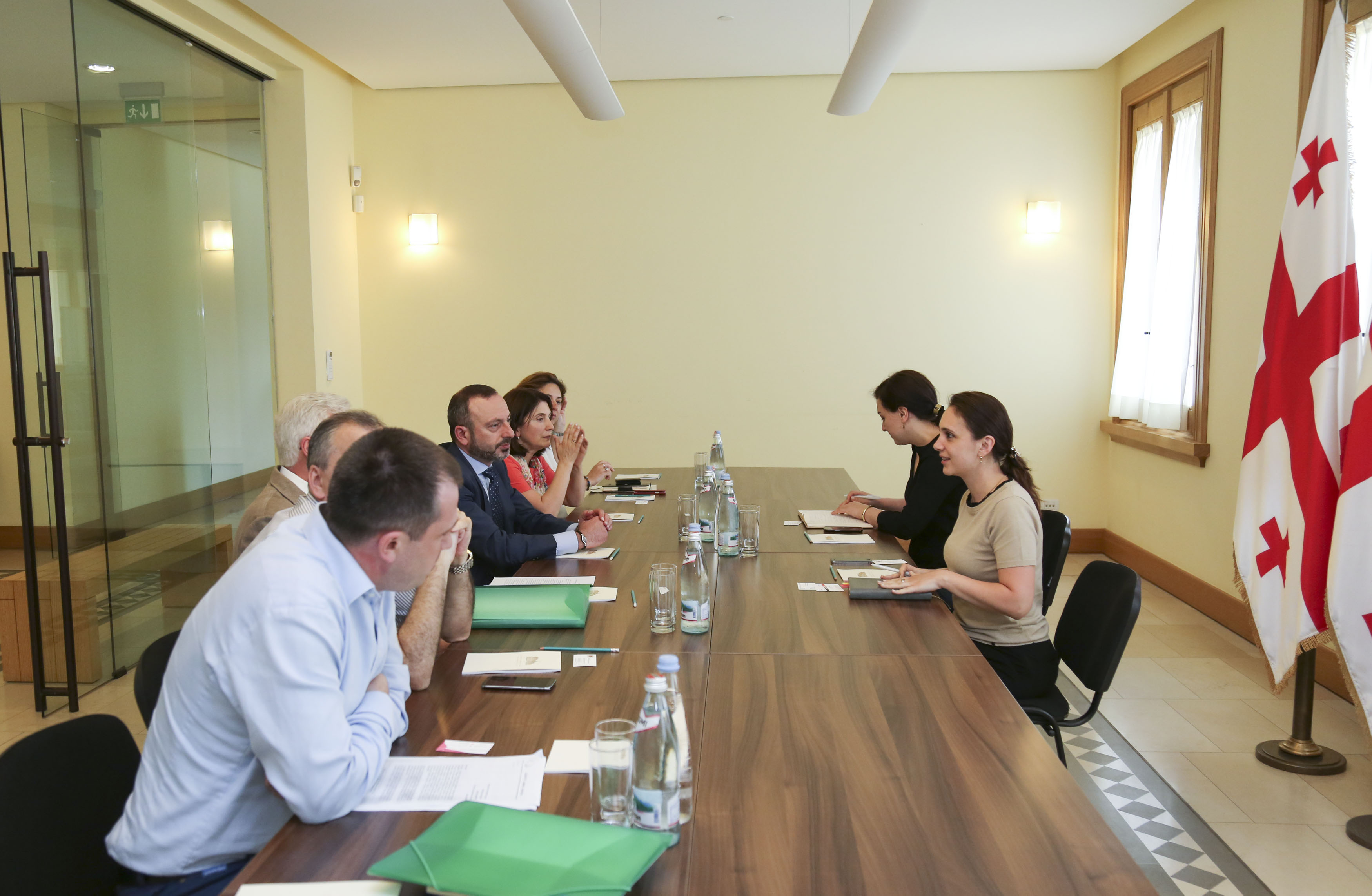 პრეზიდენტის მრჩეველს მიკროსაფინანსო ორგანიზაციების ასოციაციამ სექტორის წინაშე მდგარი პრობლემების შესახებ ინფორმაცია მიაწოდა