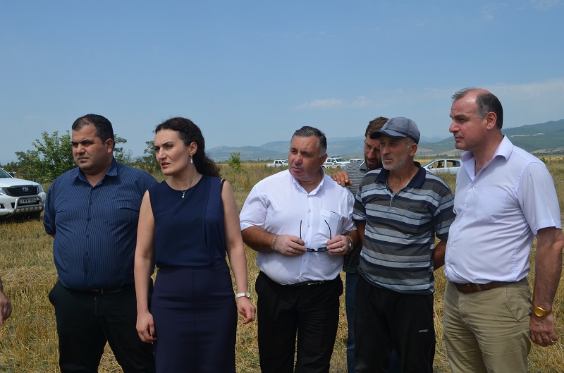 ქეთევან ციხელაშვილი სოფელ სობისში ვითარებას ადგილზე გაეცნო 