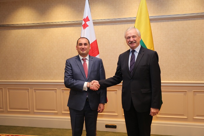 დიმიტრი ქუმსიშვილი ლიტვის ეკონომიკის მინისტრს შეხვდა