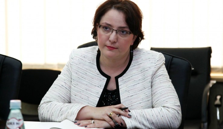დავით უსუფაშვილი რომ არა, ,,ქართული ოცნება“ ქვეყანას კატასტროფაში გადაჩეხავდა - თინა ხიდაშელი