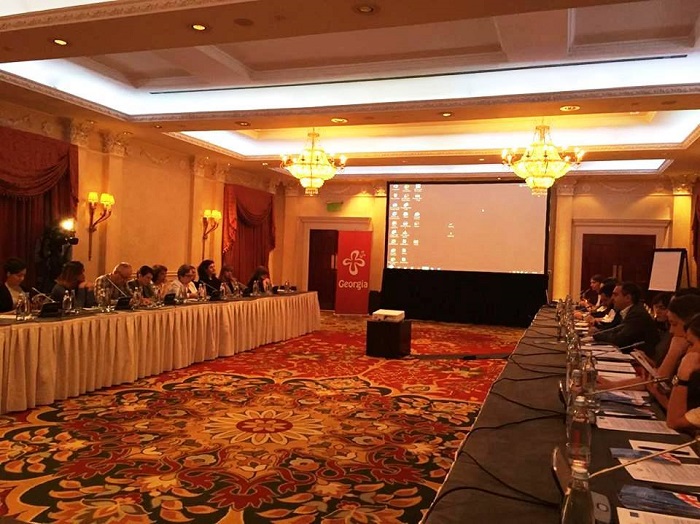 ტურისტული კომპანიების სავიზო რეჟიმის ლიბერალიზაციის შესახებ ინფორმაცია მიეწოდათ
