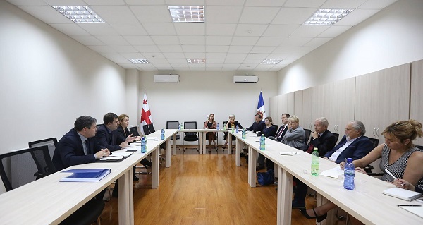 შს მინისტრის მოადგილე არჩევნებთან დაკავშირებით NDI-ის და IRI-ის წარმომადგენლებს შეხვდა