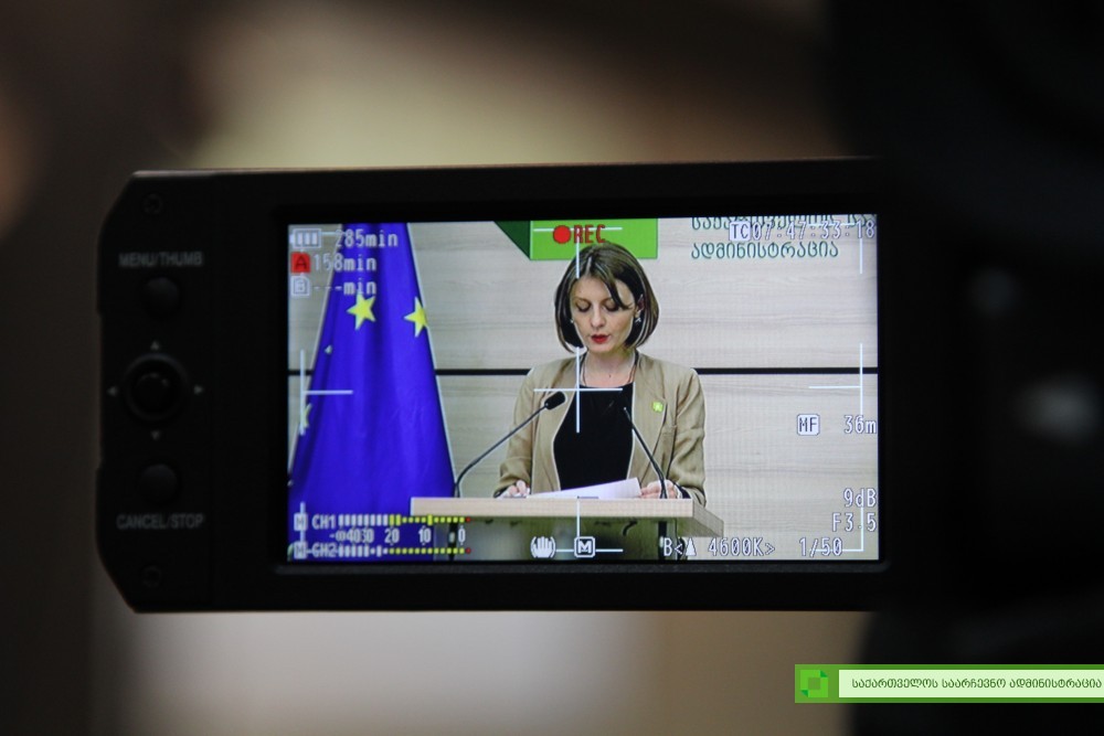 ყველა საოლქო საარჩევნო კომისიაში შეტანილია 228  საჩივარი