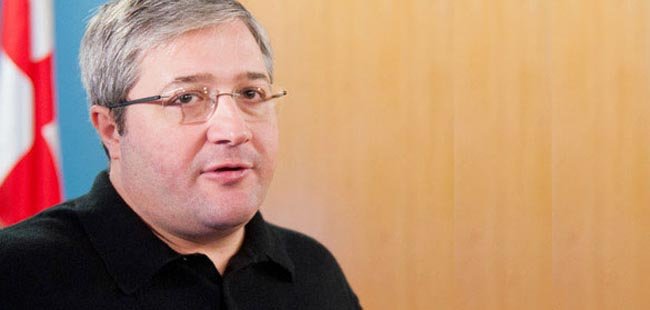 გივი თარგამაძე:  პარლამენტში შევა თუ არა სანდრა, ეს მისი გადასაწყვეტია