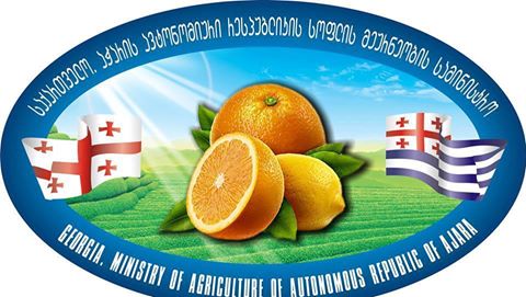 აჭარაში ციტრუსის დაზიანებასთან დაკავშირებით ცხელი ხაზი ამოქმედდა