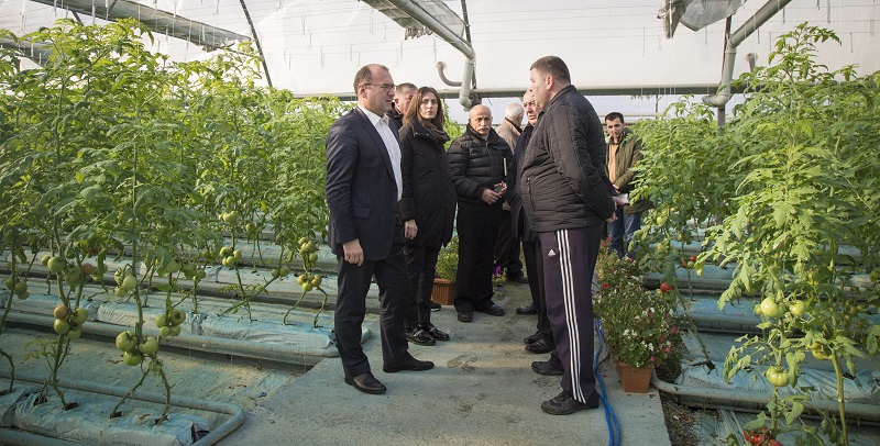 ერთიანი აგროპროექტის ფარგლებში  მცხეთა-მთიანეთის  რეგიონში 6 ახალი საწარმოა შექმნილი