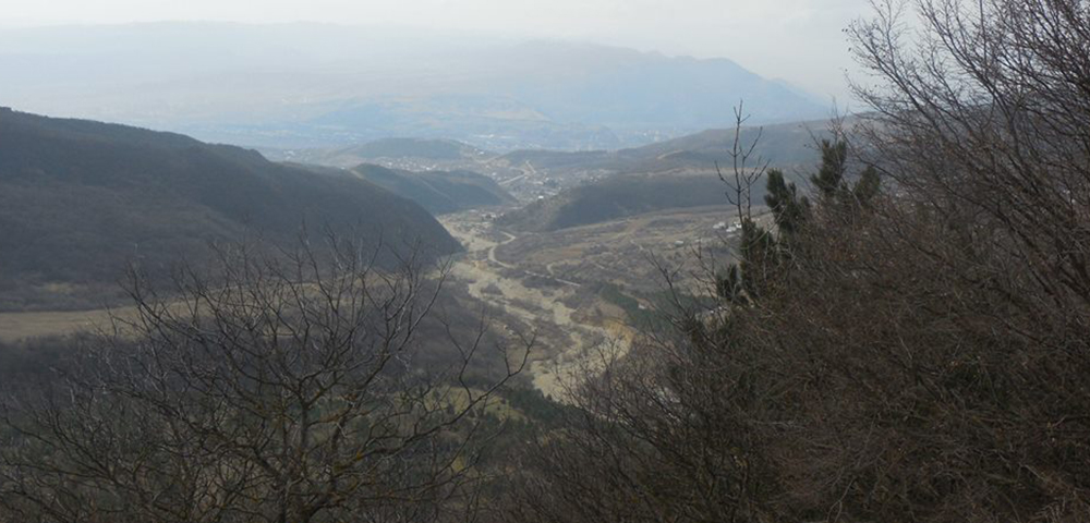 თბილისის ეროვნულ პარკში რეინჯერებმა ბრაკონიერი დაჭრეს