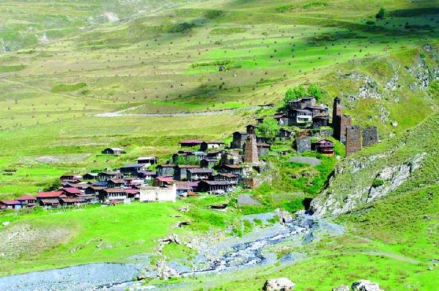 თუშეთის დაცულ ტერიტორიებზე ფიქალის ქვის და ხე-ტყის მიღების წესი მარტივდება 