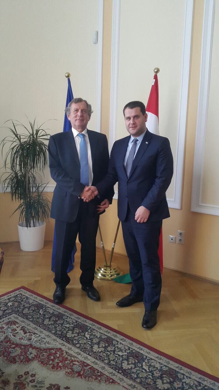 ეკონომიკისა და მდგრადი განვითარების მინისტრის მოადგილე უნგრეთის  ეროვნული ეკონომიკის სახელმწიფო მდივანს შეხვდა