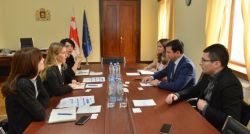 NDI-ს ორ ახალ პროგრამასთან დაკავშირებით, შეხვედრა გაიმართა