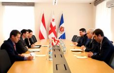 გიორგი მღებრიშვილი ავსტრიის ელჩს საქართველოში არად ბენკოს შეხვდა