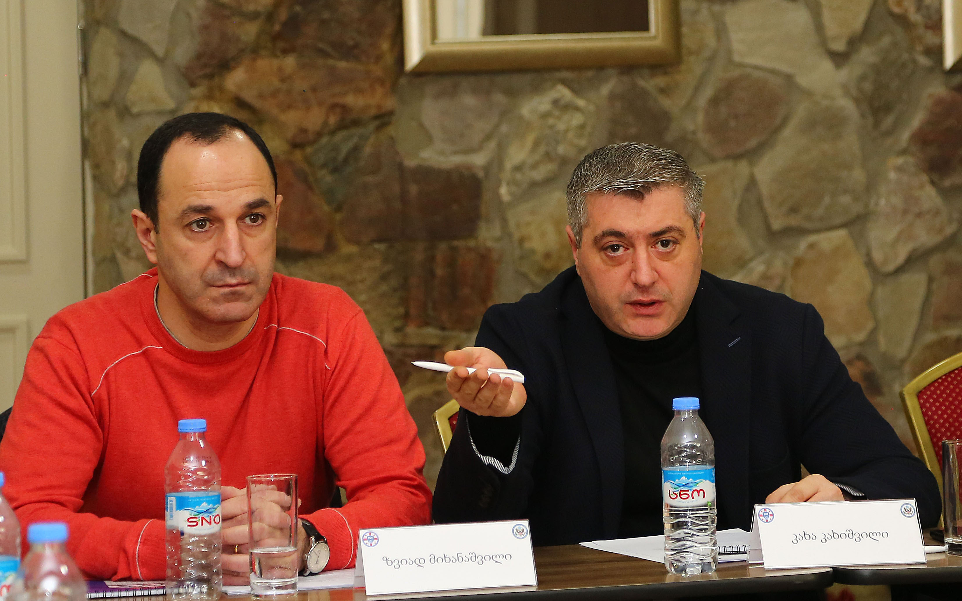 სასჯელაღსრულებისა და პრობაციის სამინისტროს საკონსულტაციო საბჭოს მორიგი სხდომა გაიმართა