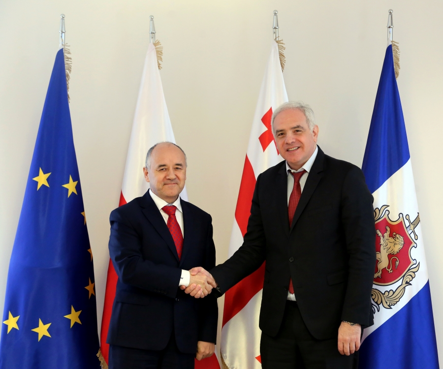 გიორგი მღებრიშვილი პოლონეთის რესპუბლიკის ელჩს შეხვდა