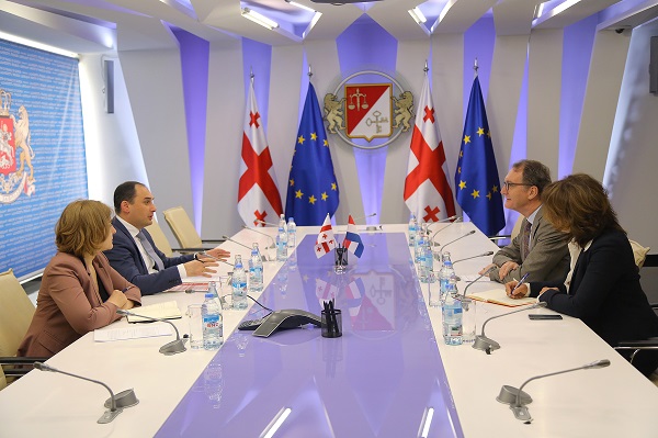 დიმიტრი ქუმსიშვილი ნიდერლანდების სამეფოს ელჩს შეხვდა