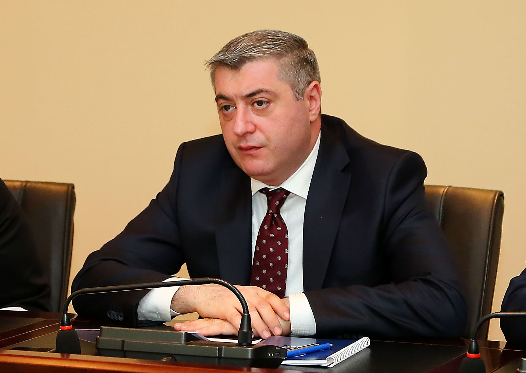 შინაპატიმრობა, სავარაუდოდ,  ფასიანი სერვისი იქნება