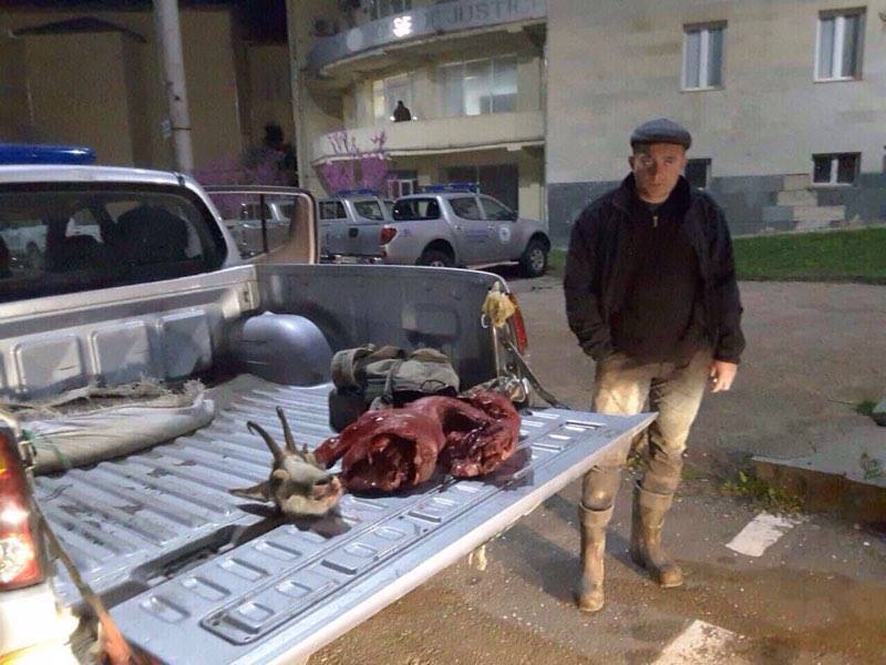 გარემოსდაცვითი ზედამხედველობის დეპარტამენტმა „წითელი ნუსხით“ დაცულ არჩვზე ნადირობის ფაქტი გამოავლინა 