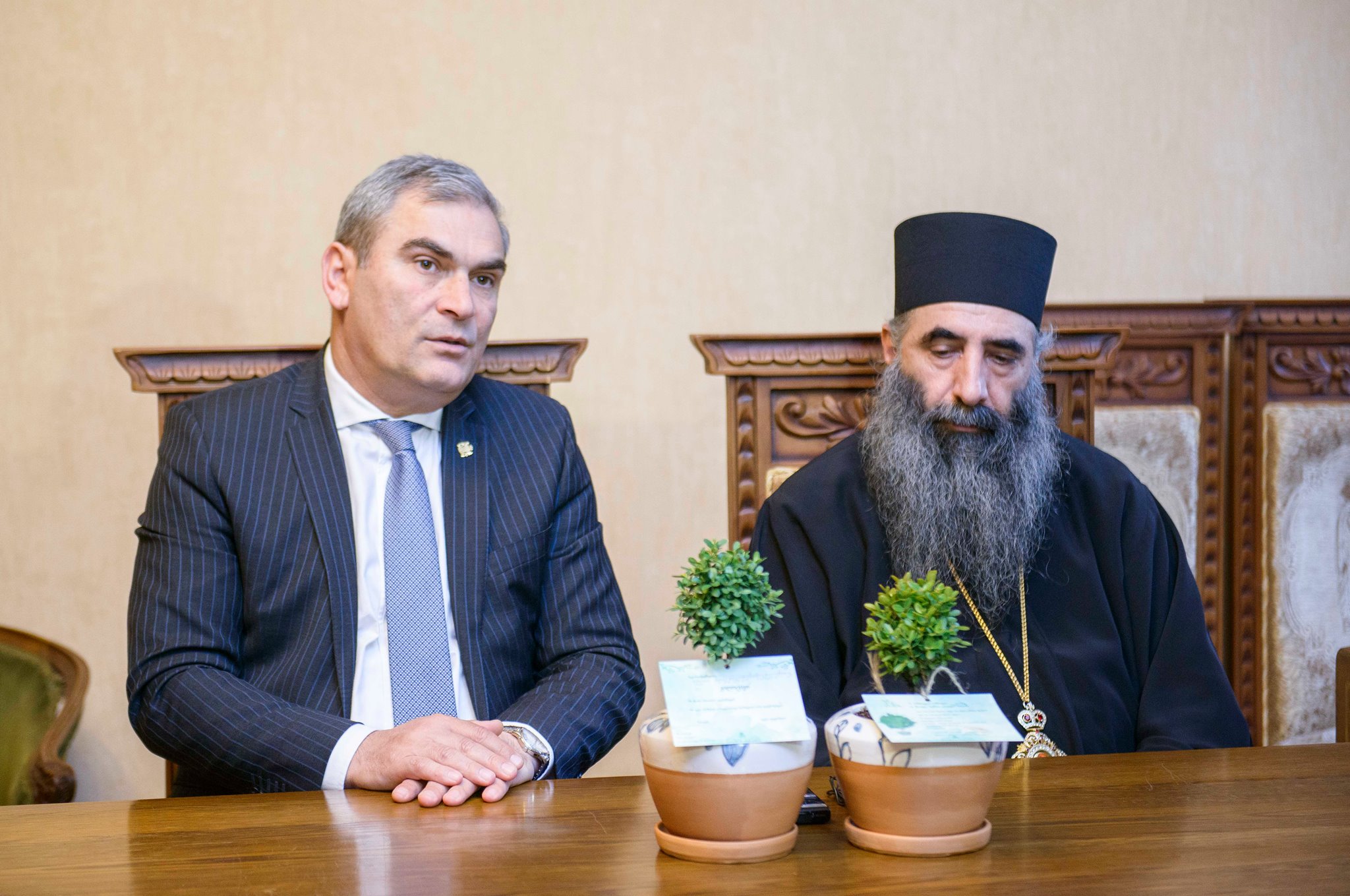 მოსახლეობას ბზის მოჭრის თავშეკავებისკენ მოუწოდებენ 