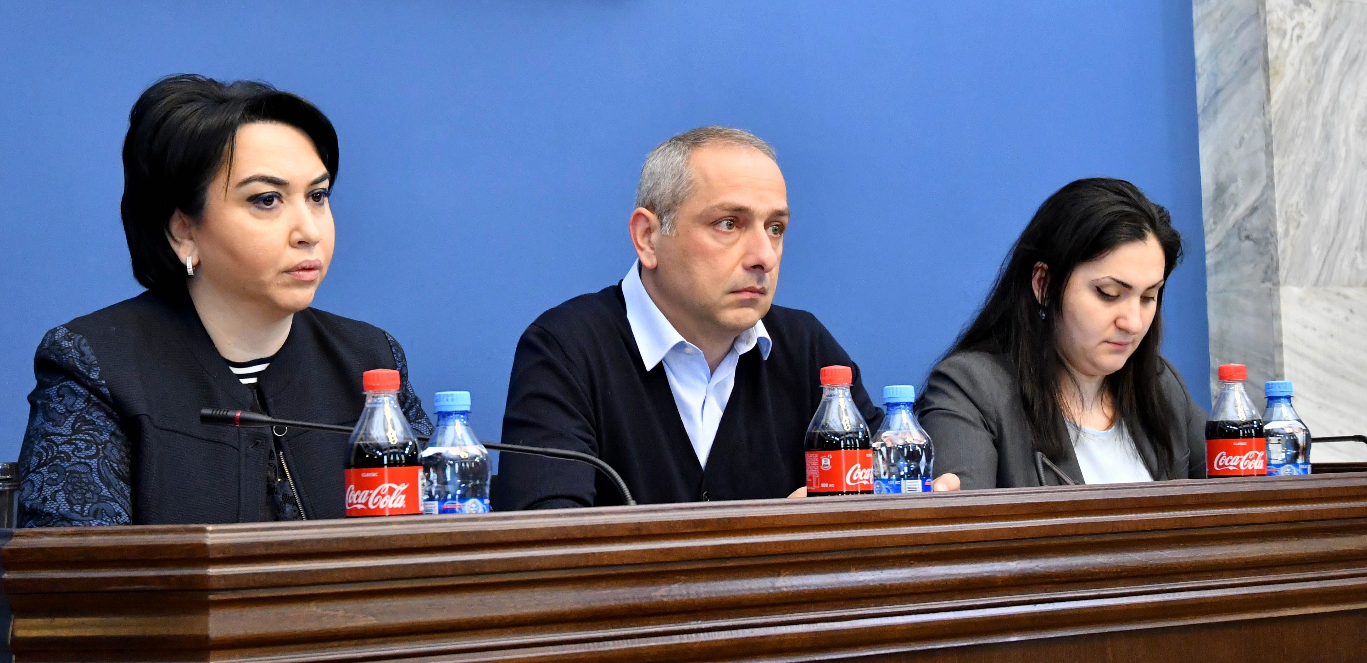 ნებისმიერი ქვეყნის პარლამენტარს გააზრებული აქვს, რომ სუს-ის ანგარიშში არის ბევრი ინფორმაცია, რომლის საჯარო გაჟღერება  საფრთხის შემცველია - ბესელია