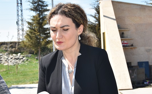 ქეთევან ციხელაშვილი: ეს არის კიდევ ერთი, მორიგი ღია პროვოკაციული ნაბიჯი რუსეთის მხრიდან