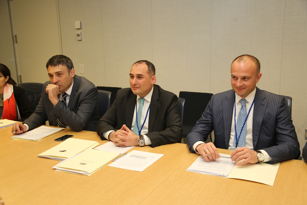დიმიტრი ქუმსიშვილი ევროკავშირის სამეზობლო პოლიტიკისა და გაფართოების საკითხებში გენერალური დირექტორატის ხელმძღვანელის მოადგილეს კატარინა მატერნოვას შეხვდა 