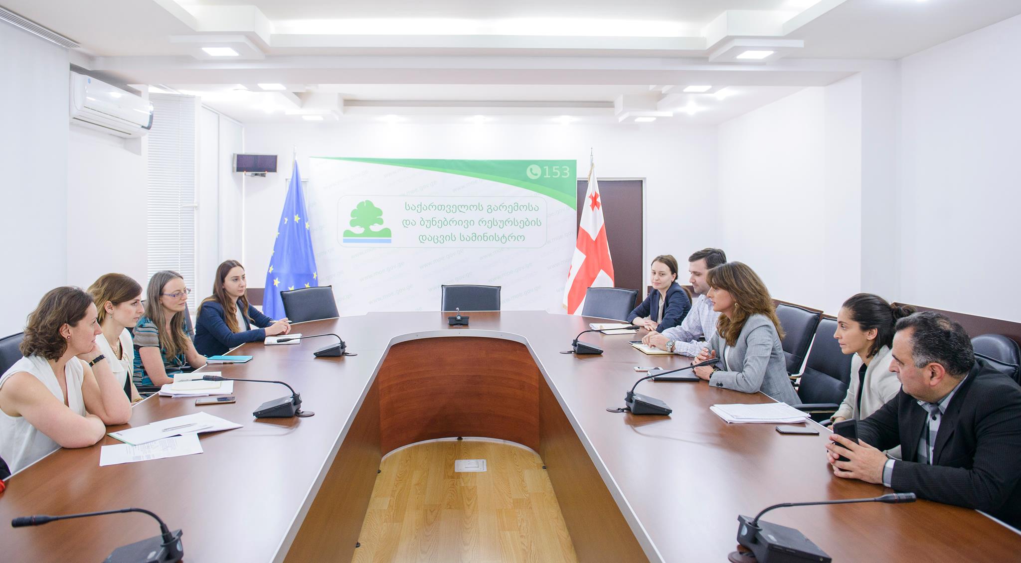 მაია ბითაძე აშშ-ს სატყეო სამსახურის წარმომადგენლებს შეხვდა