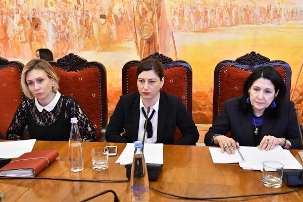 საგარეო ურთიერთობათა და დიასპორისა და კავკასიის საკითხთა კომიტეტების გაერთიანებული სხდომა გაიმართა