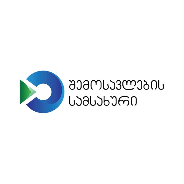 160 000 ლარის საქონელი პირს ელექტრონული ზედნადების გარეშე გადაჰქონდა - შემოსავლების სამსახური