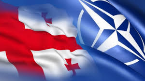 გამოკითხულთა 68% NATO-ში გაწევრიანების მომხრეა - NDI
