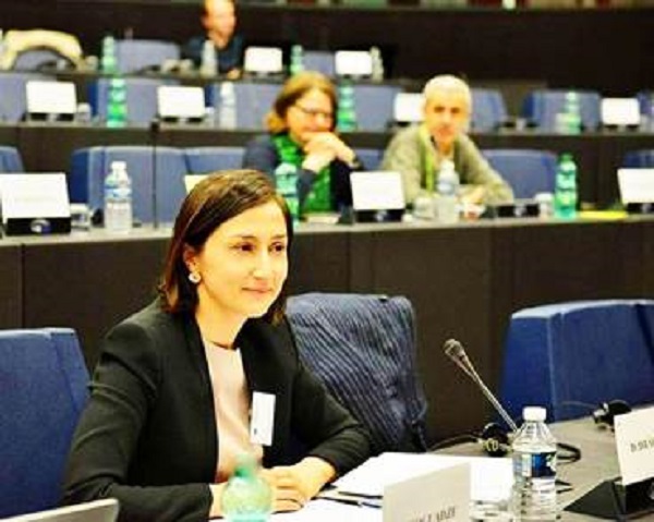 ნინო გოგუაძე ევროსაბჭოს საპარლამენტო ასამბლეის მუშაობაში მონაწილეობს