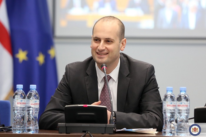 მიხეილ ჯანელიძე როზ გოტმიულერს შეხვდება