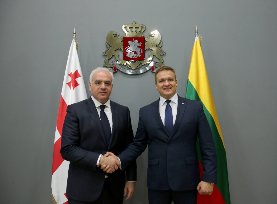 გიორგი მღებრიშვილი ლიტვის შინაგან საქმეთა მინისტრს შეხვდა