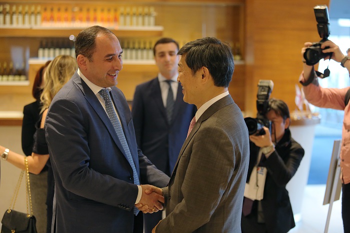 დიმიტრი ქუმსიშვილი: JICA-ს ოფიციალური წარმომადგენლობა რეგიონს საქართველოდან დაფარავს