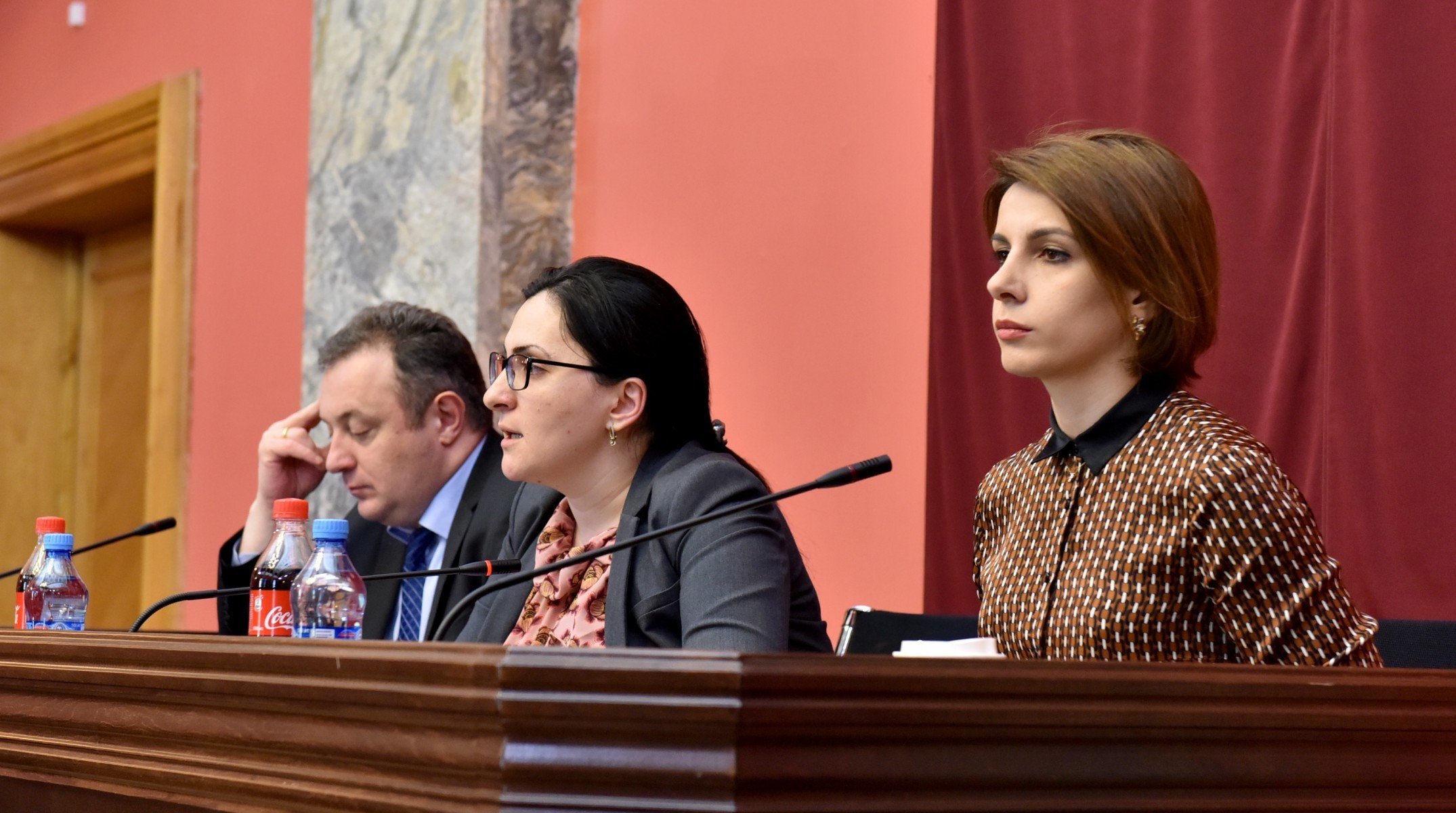 შეგვიძლია უკვე გავხსნათ დიალოგი შშმ პირთა კონვენციის რატიფიცირების შესახებ - სოფო კილაძე