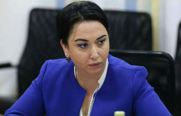 პრეზიდენტის ვეტო ყველაზე ნაკლები სიურპრიზი იქნება, რაც კი შეიძლება წარმოვიდგინოთ - ბესელია