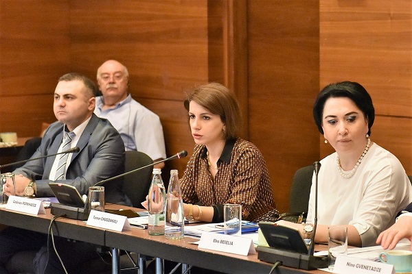 სტრასბურგის სასამართლოს გადაწყვეტილებების საპარლამენტო ზედამხედველობის კუთხით საქართველოს მნიშვნელოვანი პროგრესი აქვს - ჩუგოშვილი