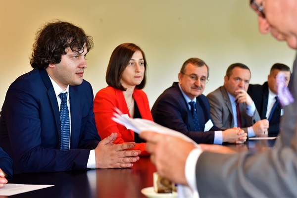 ირაკლი კობახიძე ევროკავშირი-საქართველოს მეგობრობის ჯგუფის საბჭოს შეხვდა