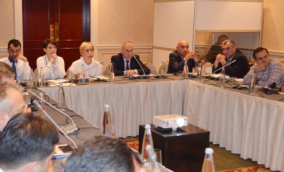 ველური ბუნების მდგრადი მართვის შესაძლებლობების გაძლიერების შესახებ სამუშაო შეხვედრა გაიმართა