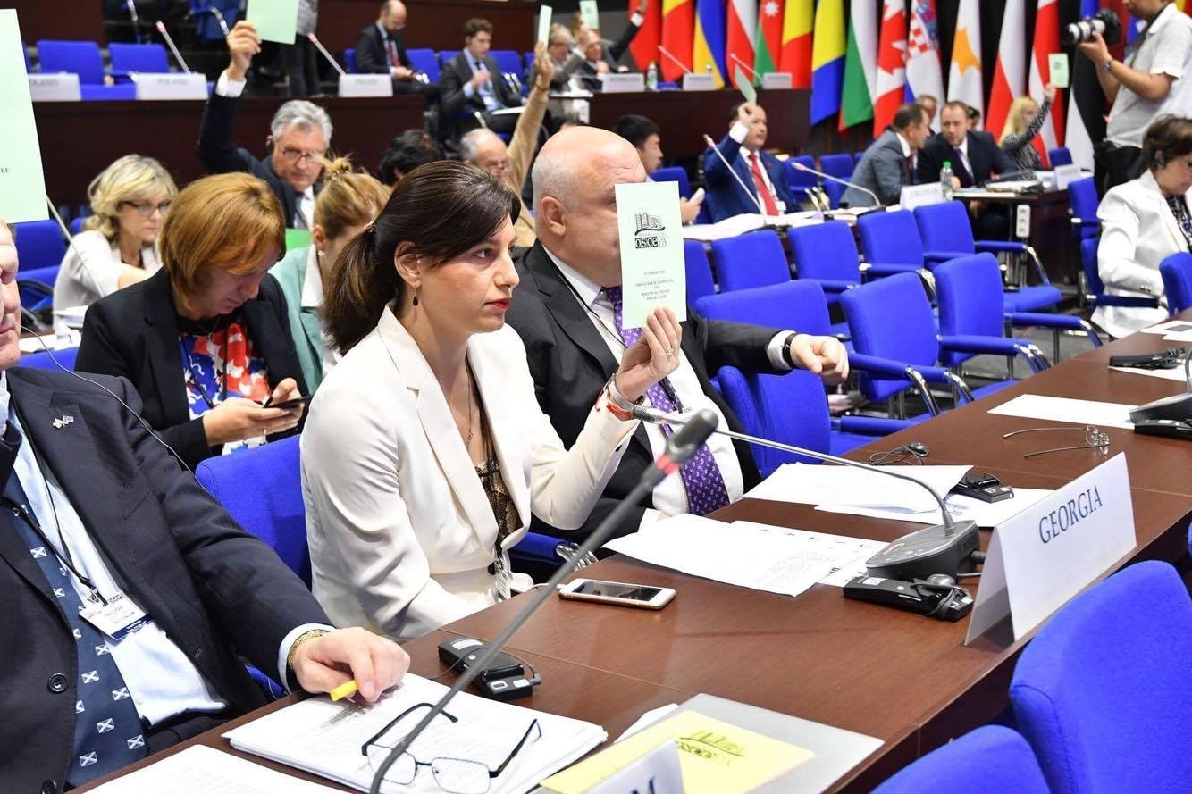 ოკუპირებულ ტერიტორიებზე არსებული ვითარების შესახებ  ეუთოს რეზოლუციაში ცვლილება შევა - სოფიო ქაცარავა