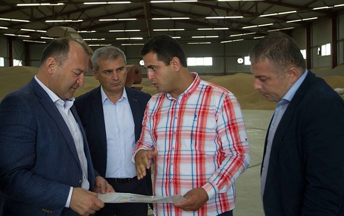 სიღნაღის რაიონში „ერთიანი აგროპროექტის“ ფარგლებში ახალი საწარმო შეიქმნა