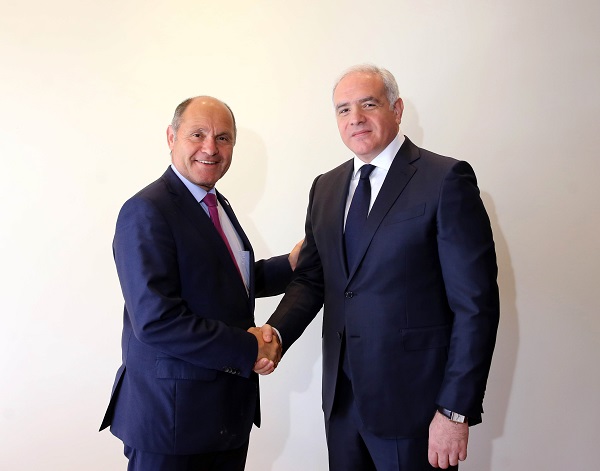 გიორგი მღებრიშვილი ავსტრიის შს მინისტრს შეხვდა