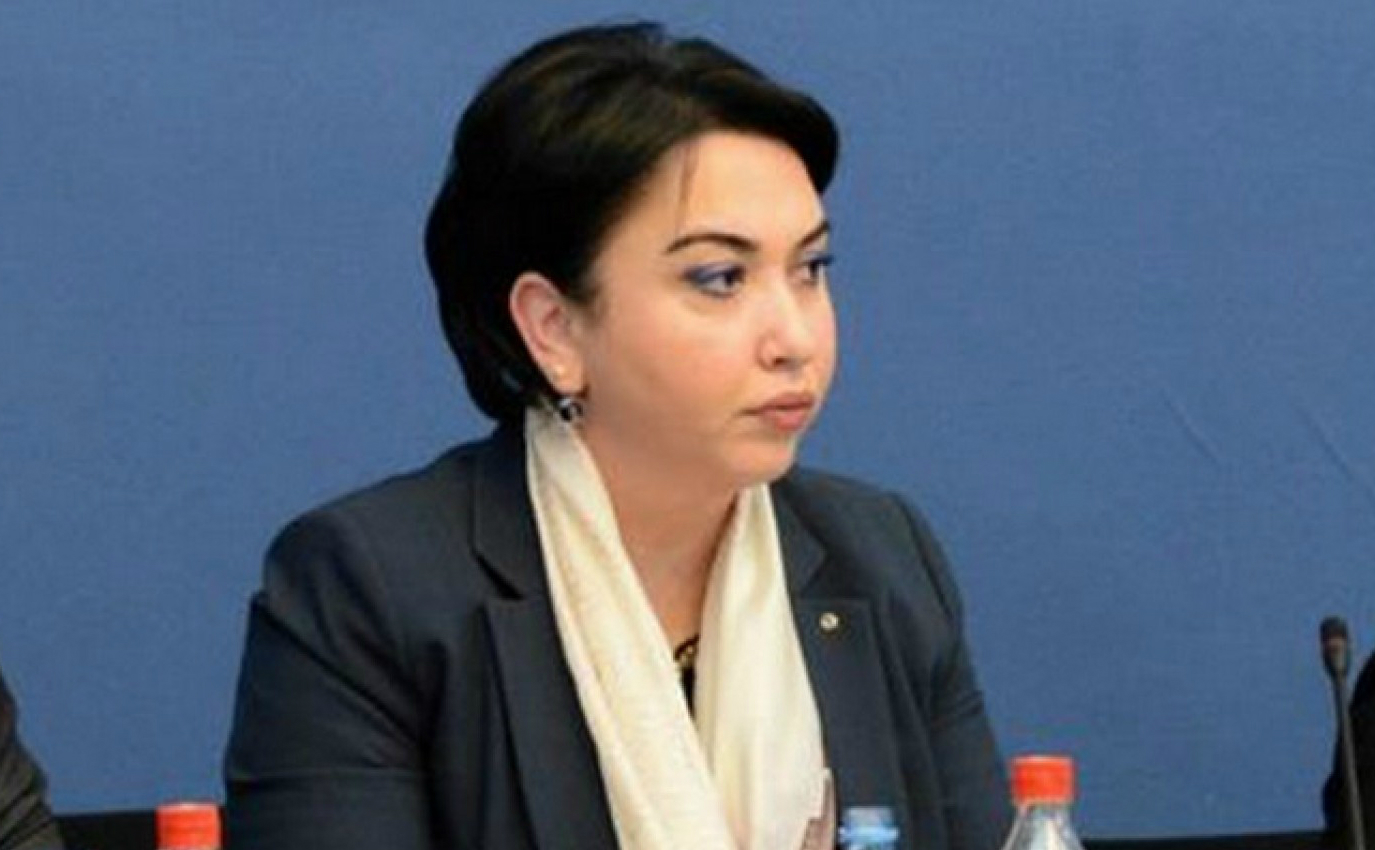 ე.წ. ფოტოგრაფების საქმეზე სასამართლოზე  ჩვენებას ეკა ბესელია  აძლევს