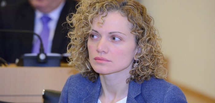 ევროპარლამენტარებთან შეხვედრაზე საოკუპაციო ხაზის გადმოწევის საკითხი არ განხილულა - ხულორდავა
