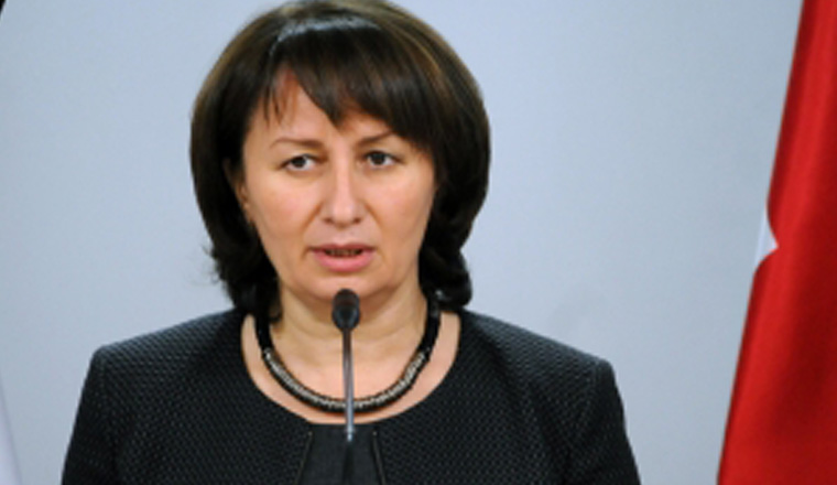 იქნება ვეტო თუ არა, ეს არ არის თამაშის თემა - ფიქრია ჩიხრაძე