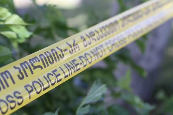 წალენჯიხაში 30 წლის მამაკაცს ხე დაეცა - ის ადგილზე გარდაიცვალა