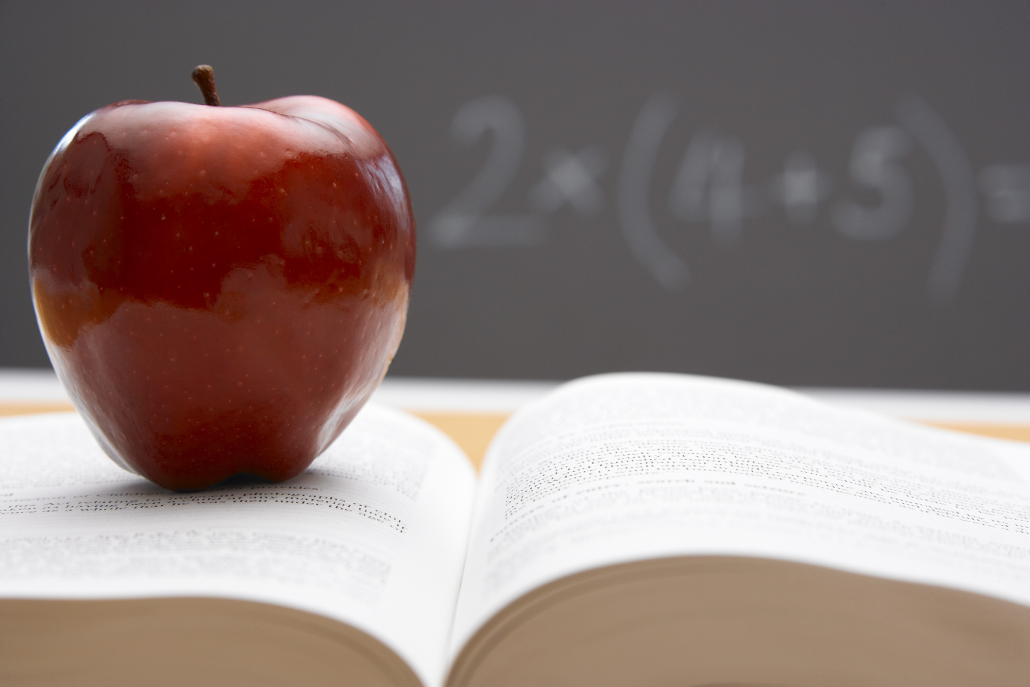 სექტემბრიდან სკოლაში ბავშვებს თითო ვაშლს დავურიგებთ - ჯეჯელავა