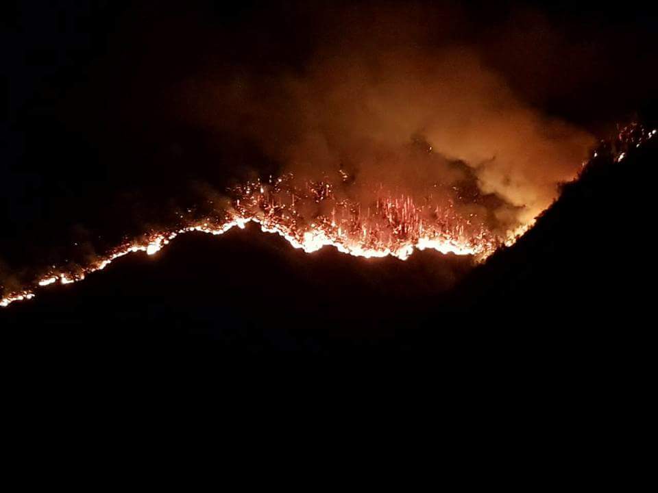 ბორჯომის ხეობაში, ხანძრის ჩასაქრობად საერთაშორისო დახმარებას ელოდებიან