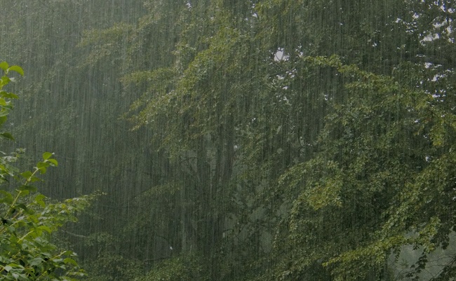 ბორჯომში, დღის მეორე ნახევარში წვიმაა მოსალოდნელი