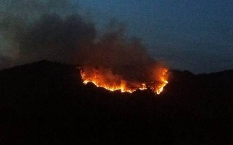 ბორჯომის ხეობაში ცეცხლის არეალი საგრძნობლად შემცირდა