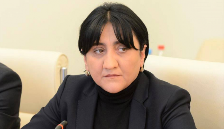 "პატრიოტთა ალიანსმა" თბილისის საკრებულოს მაჟორიტარი დეპუტატობის კანდიდატები წარადგინა